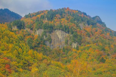 31 Ekim 2013 Japonya 'nın Takayama kırsalının sonbahar manzarası