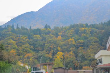 31 Ekim 2013 Japonya 'nın Takayama kırsalının sonbahar manzarası