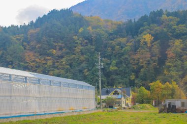 31 Ekim 2013 Takayama kırsalının manzarası, Japonya