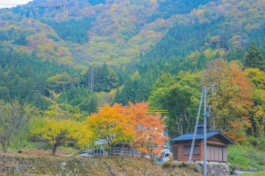 31 Ekim 2013 Takayama kırsalının manzarası, Japonya