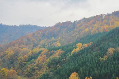 31 Ekim 2013 Japonya 'nın Takayama kırsalının sonbahar manzarası