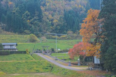 31 Ekim 2013 Japonya 'nın Takayama kırsalının sonbahar manzarası
