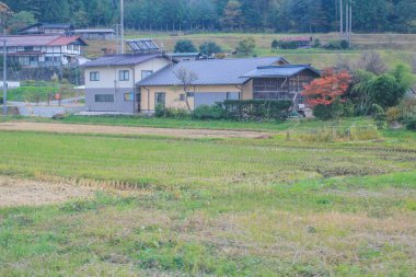 31 Ekim 2013 Japonya 'nın Takayama kırsalının sonbahar manzarası