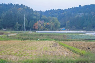 31 Ekim 2013 Japonya 'nın Takayama kırsalının sonbahar manzarası