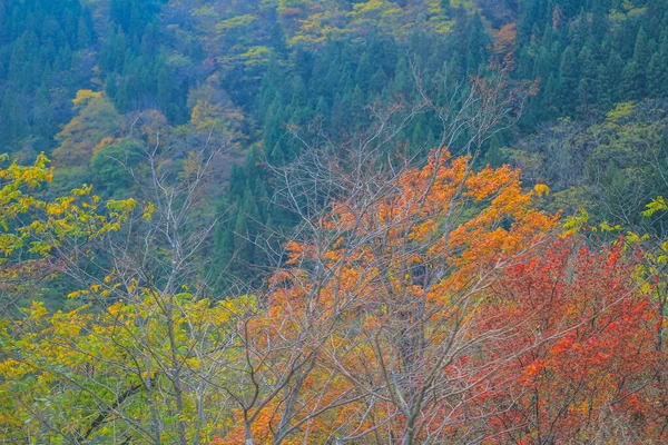 Paź 2013 Krajobraz Wsi Takayama Japonia — Zdjęcie stockowe