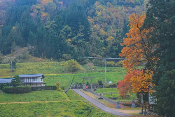 2013年10月31日日本高山县秋季风景 — 图库照片