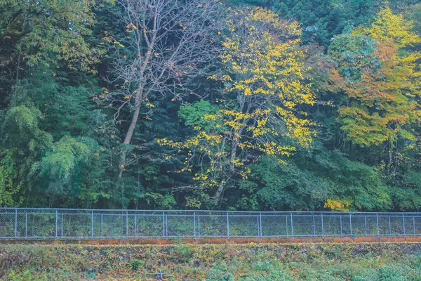 stock image 31 Oct 2013 the fall season landscape of the Takayama countryside, Japan