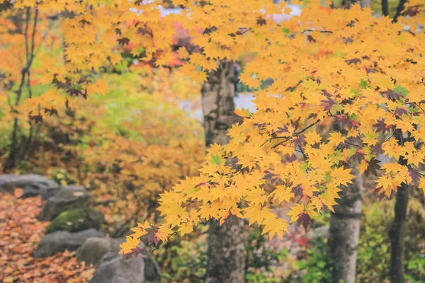 Autumn Landscape Shinhodaka Ropeway Ιαπωνία Oct 2013 — Φωτογραφία Αρχείου
