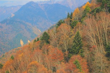 Shinhodaka Ropeway 'de sonbahar manzarası, Japonya 31 Ekim 2013