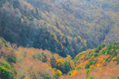 Shinhodaka Ropeway 'de sonbahar manzarası, Japonya 31 Ekim 2013
