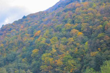 Shinhodaka Ropeway 'de sonbahar manzarası, Japonya 31 Ekim 2013