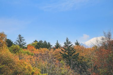 31 Ekim 2013 Japonya 'nın Takayama kırsalının sonbahar manzarası
