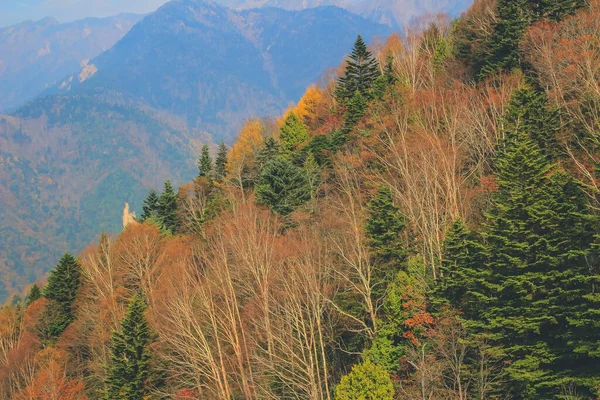 Die Herbstliche Landschaft Shinhodaka Ropeway Japan Okt 2013 — Stockfoto