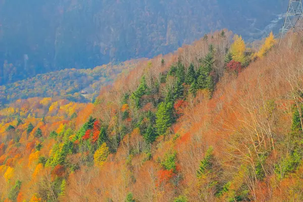 Die Herbstliche Landschaft Shinhodaka Ropeway Japan Okt 2013 — Stockfoto