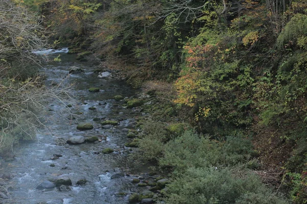 Ekim 2013 Japonya Nın Takayama Kırsalının Sonbahar Manzarası — Stok fotoğraf