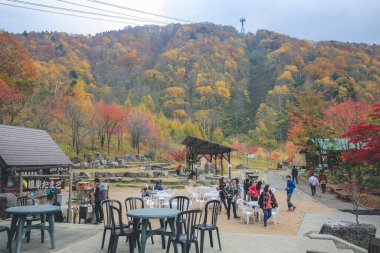 Shirakabadaira 'da bir park, Shirakaba 31 Ekim 2013