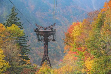 Shinhodaka Ropeway 'de sonbahar manzarası, Japonya 31 Ekim 2013