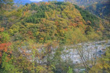 31 Ekim 2013 Japonya 'nın Takayama kırsalının sonbahar manzarası