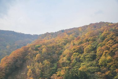 31 Ekim 2013 Japonya 'nın Takayama kırsalının sonbahar manzarası