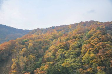 31 Ekim 2013 Japonya 'nın Takayama kırsalının sonbahar manzarası