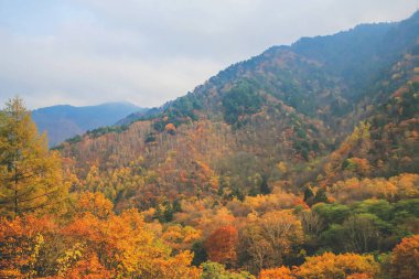 31 Ekim 2013 Japonya 'nın Takayama kırsalının sonbahar manzarası