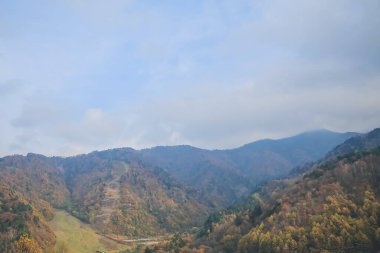 31 Ekim 2013 Japonya 'nın Takayama kırsalının sonbahar manzarası