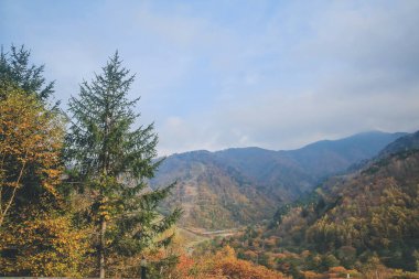31 Ekim 2013 Japonya 'nın Takayama kırsalının sonbahar manzarası
