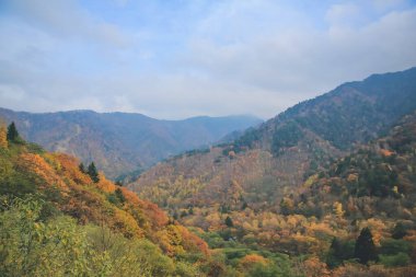 31 Ekim 2013 Japonya 'nın Takayama kırsalının sonbahar manzarası