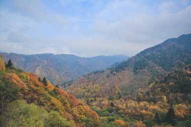 31 Ekim 2013 Japonya 'nın Takayama kırsalının sonbahar manzarası