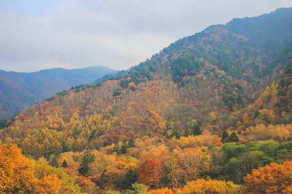 Okt 2013 Die Landschaft Der Herbstsaison Takayama Japan — Stockfoto