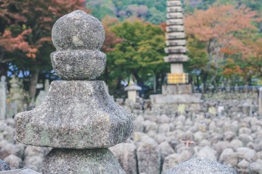 2 Kasım 2013 Japonya Kulesi, adashino nenbutsuji Tapınağı, Kyoto, Japonya