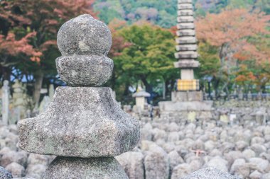 2 Kasım 2013 Japonya Kulesi, adashino nenbutsuji Tapınağı, Kyoto, Japonya