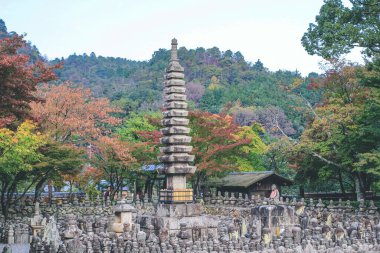 2 Kasım 2013 Japonya Kulesi, adashino nenbutsuji Tapınağı, Kyoto, Japonya
