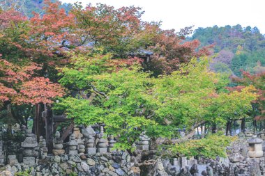 2 Kasım 2013 Japonya Kulesi, adashino nenbutsuji Tapınağı, Kyoto, Japonya