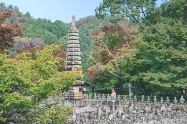 2 Kasım 2013 Japonya Kulesi, adashino nenbutsuji Tapınağı, Kyoto, Japonya