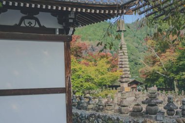 Zen bahçesindeki Buda heykeli Adashino Nenbutsu ji 2 Kasım 2013