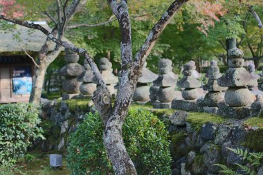 2 Kasım 2013 Japonya Kulesi, adashino nenbutsuji Tapınağı, Kyoto, Japonya