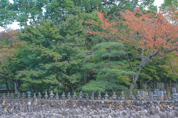 足立念仏寺日本の塔 — ストック写真