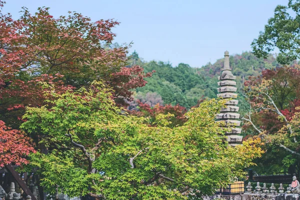 stock image 2 Nov 2013 the japan tower, adashino nenbutsuji temple, Kyoto, japan