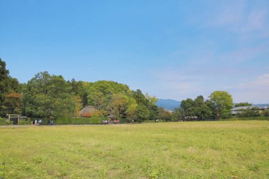 Yeşil çimenleri ve güzel gökyüzü olan güzel bir tarla.