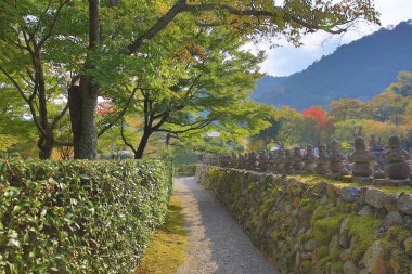 2 Kasım 2013 Japonya Kulesi, adashino nenbutsuji Tapınağı, Kyoto, Japonya