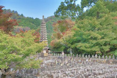 Japonya Kulesi, Adashino nenbutsuji Tapınağı, Kyoto, Japonya 2 Kasım 2013