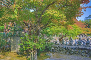 Japonya Kulesi, Adashino nenbutsuji Tapınağı, Kyoto, Japonya 2 Kasım 2013