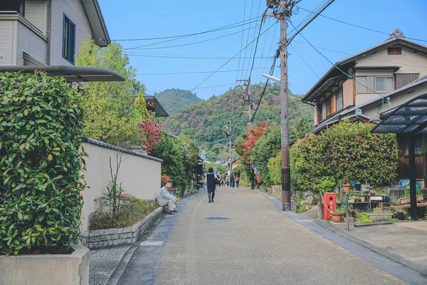 Aveia Arashiyama Nos Arredores Kyoto Japão Nov 2013 — Fotografia de Stock