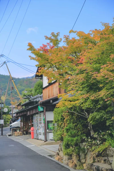 Die Arashiyama Oin Den Vororten Von Kyoto Japan Nov 2013 — Stockfoto