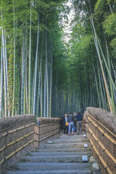 2 Kasım 2013 Bambu Ormanı Adashino Nenbutsu-ji Japonya, Arashiyama