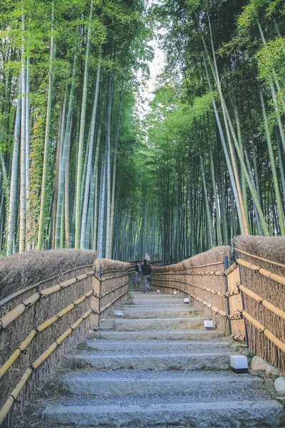 Bambushain Adashino Nenbutsu Arashiyama Kyoto Japan — Stockfoto