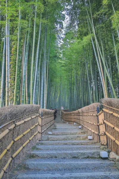 Bambuswald Adashino Nenbutsu Japan Arashiyama — Stockfoto