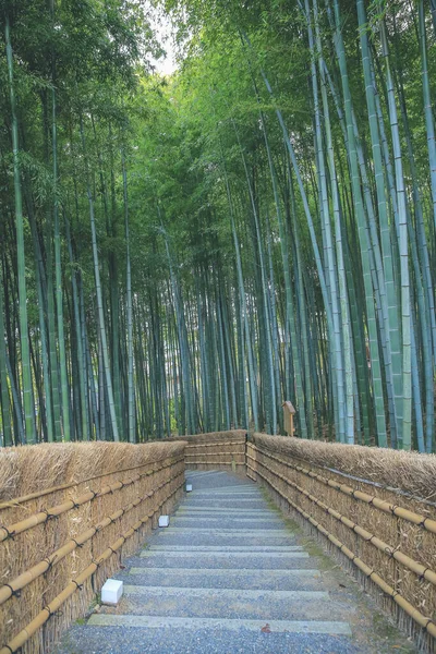 Бамбуковая Роща Адасино Буцу Дзи Арашияма Киото Япония — стоковое фото