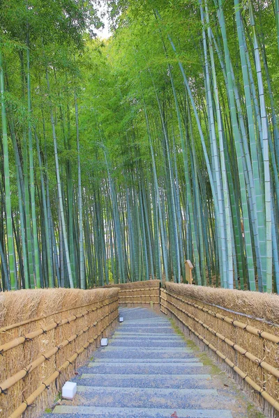 Arboleda Bambú Adashino Nenbutsu Arashiyama Kyoto Japón —  Fotos de Stock